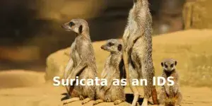 Detect DoS attack using a custom rule file in Suricata